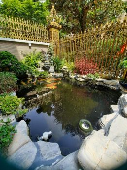 Construction and renovation of Koi aquarium up to standard