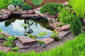 Turn Koi Pond into a Beautiful Garden with Decorative Rocks