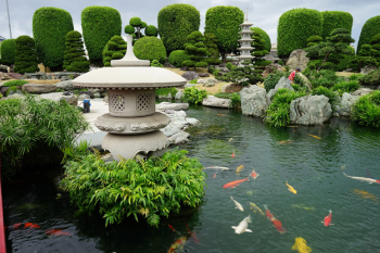 Why should koi pond design and construction meet standards?