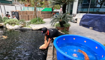 SOME NOTES WHEN RELEASING NEW FISH INTO THE LAKE